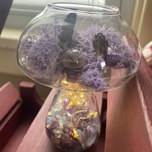 Glass Mushroom Terrarium With Dried Morel Mushrooms, Amethyst Crystal Mushroom